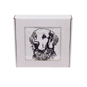 Elegancki ręcznik bawełniany z haftem portretu golden retrievera w ozdobnym pudełku prezentowym gotowym do wręczenia.