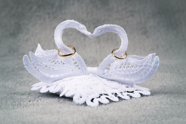 łabędzie — kopia.png